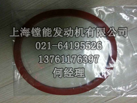 MTU柴油机专用配件_0029971248 NTH RING橡胶垫圈