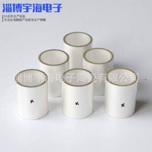 Piezoelectric Ceramic Tubular Piezoelectric Crystal Material Ultrasonic Round Tube Piezoelectric Ceramic Tube Pzt Tube