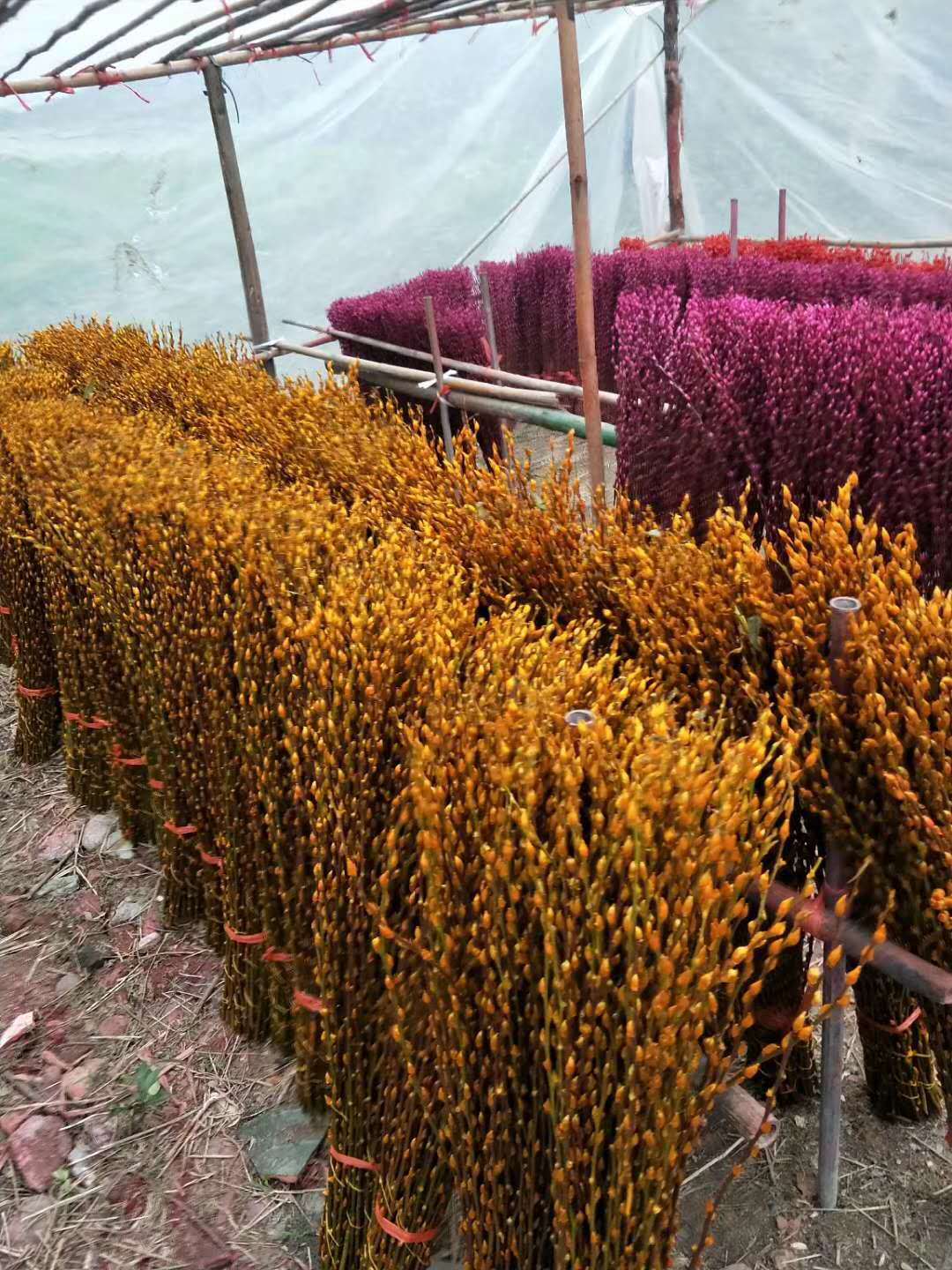 微信图片_20171212094714