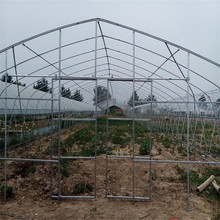 瓮安縣溫室鋼架大棚建設  6米寬蘑菇養殖棚  烏江8米寬蔬菜種植棚