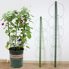 Iron ring flower pillar potted vine climbing vine horticultural bag plastic flower pot bracket