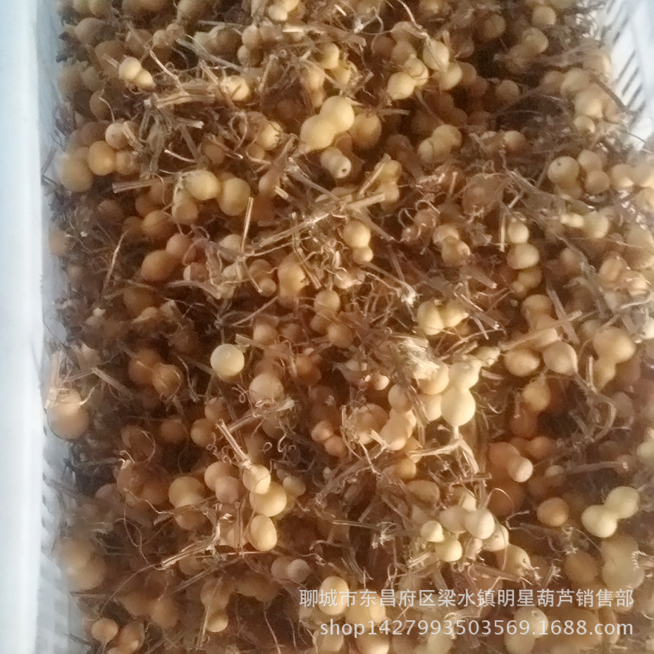 MYXJ_20170206142835_fast