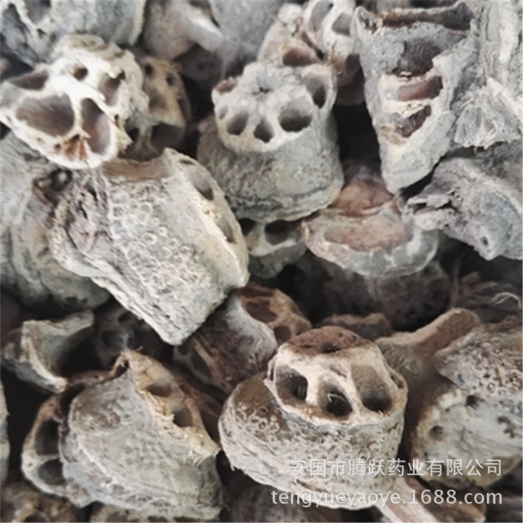 Dried Lotus Root Node Ou Jie TCM Herb Wholesale Bulk 500g quality and texture