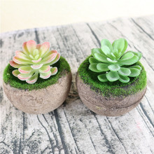 ��Ʒ�������ֲ�� С����پGֲ�����w�bM��ֲ�q����5��ʯɏ