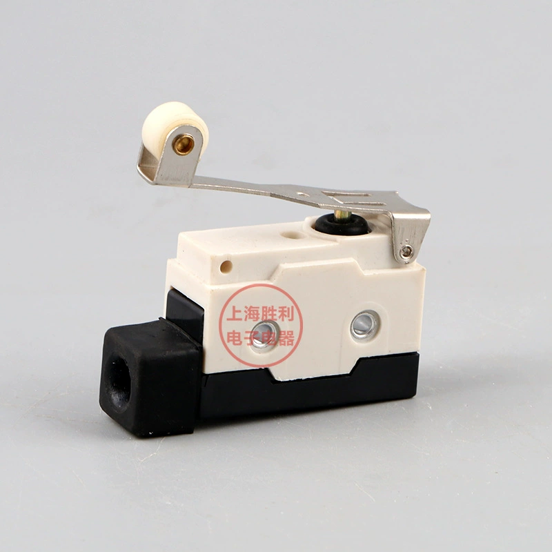 Micro switch D4MC-20000 waterproof itinerary switch silver dots