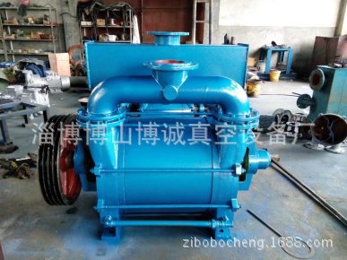 淄博厂家2BEA202 203水环真空泵