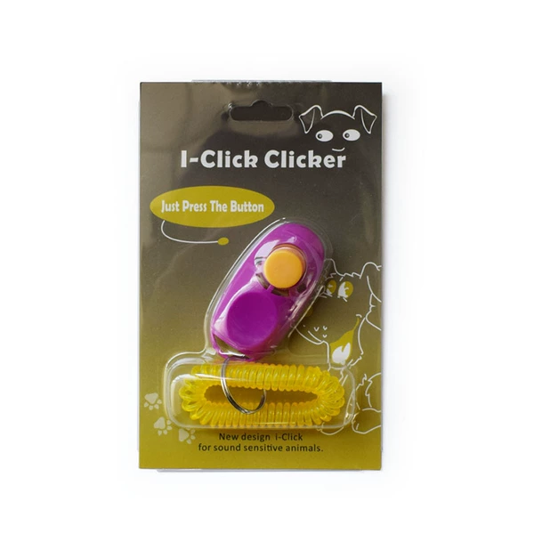 Purple colored paper, card holder, pack