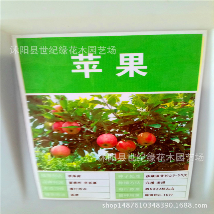 批发各种水果树种子苹果 桃 梨 枣 石榴芒果 枇杷木瓜果树苗种子|ms