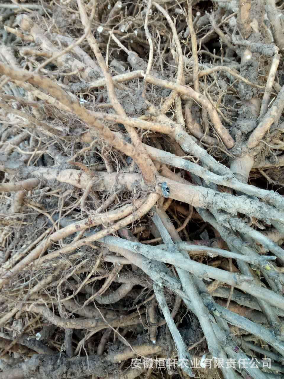 微信图片_201709201001238