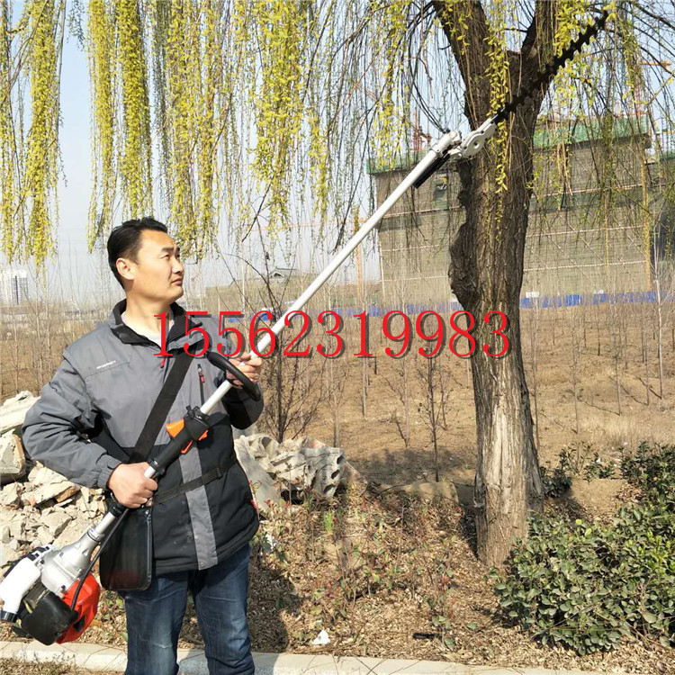 两冲多用枯枝修剪高枝锯 厂家定制加长高枝锯 铭扬机械