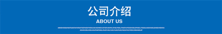 公司介绍 (6)