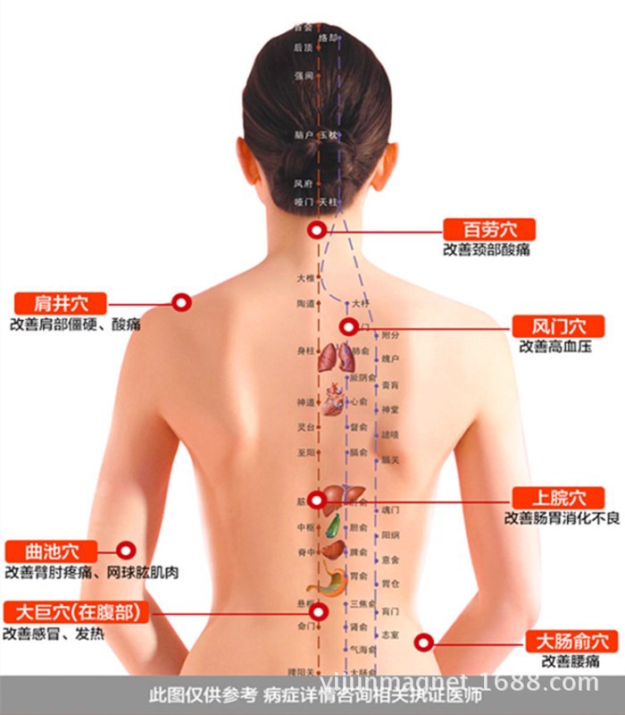 GG产品特点