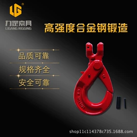 连接环;吊钩、抓钩;其他索具