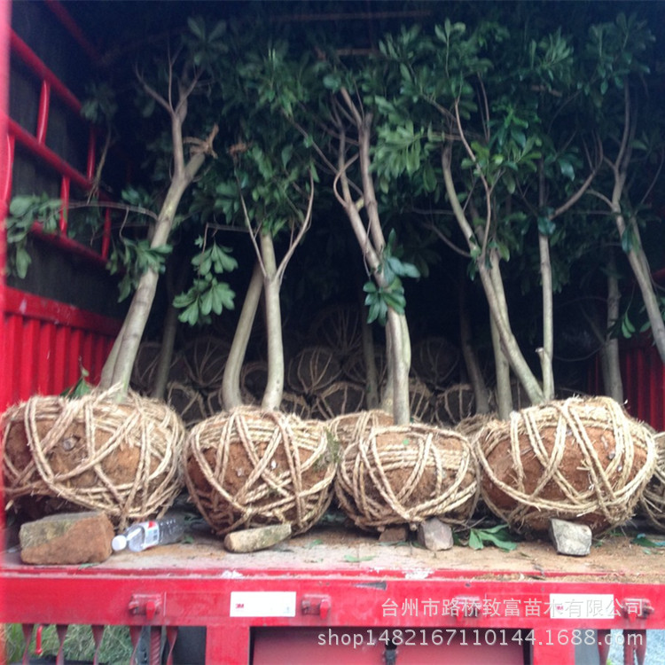 【任九开奖结果】_任九开奖结果厂家_任九开