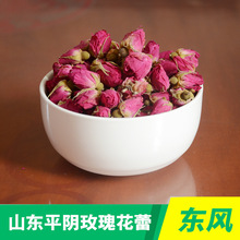 xɽ|ƽõ廨ٻ õ廨 ~ɢbl