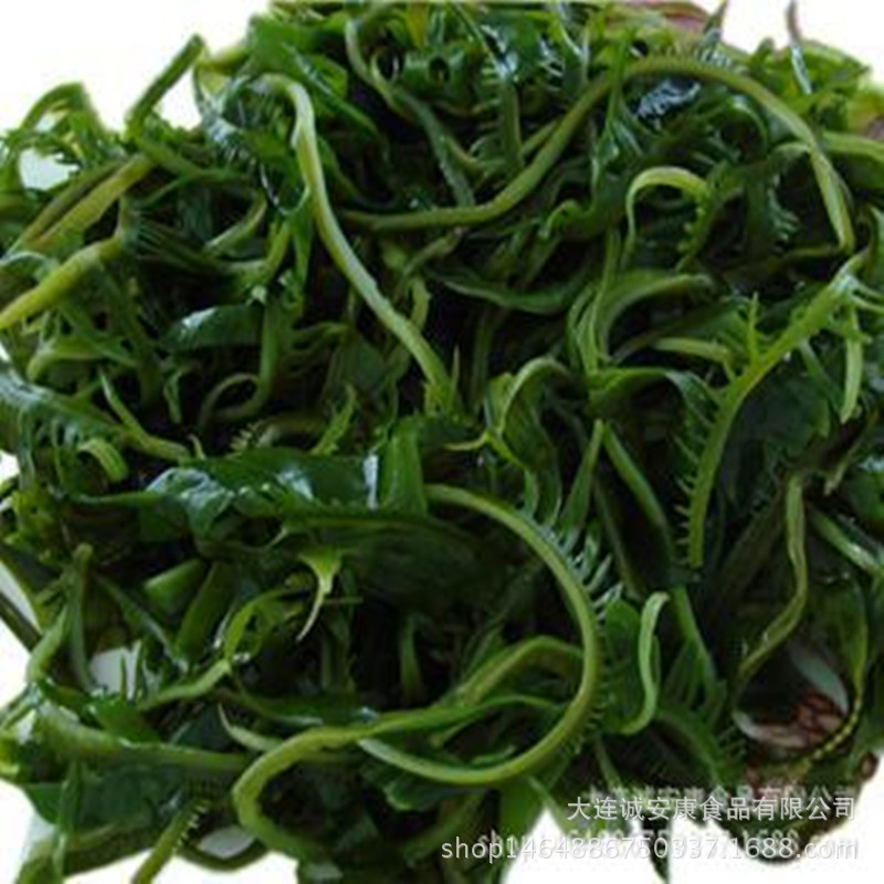 2345_image_file_copy_4