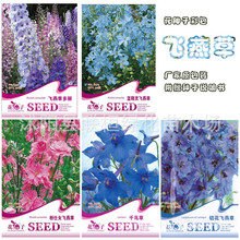 �ʴ����b �{���`�w��ݷ���Ů�w����л��w��ݶ���ǧ�B�ݻ��N��