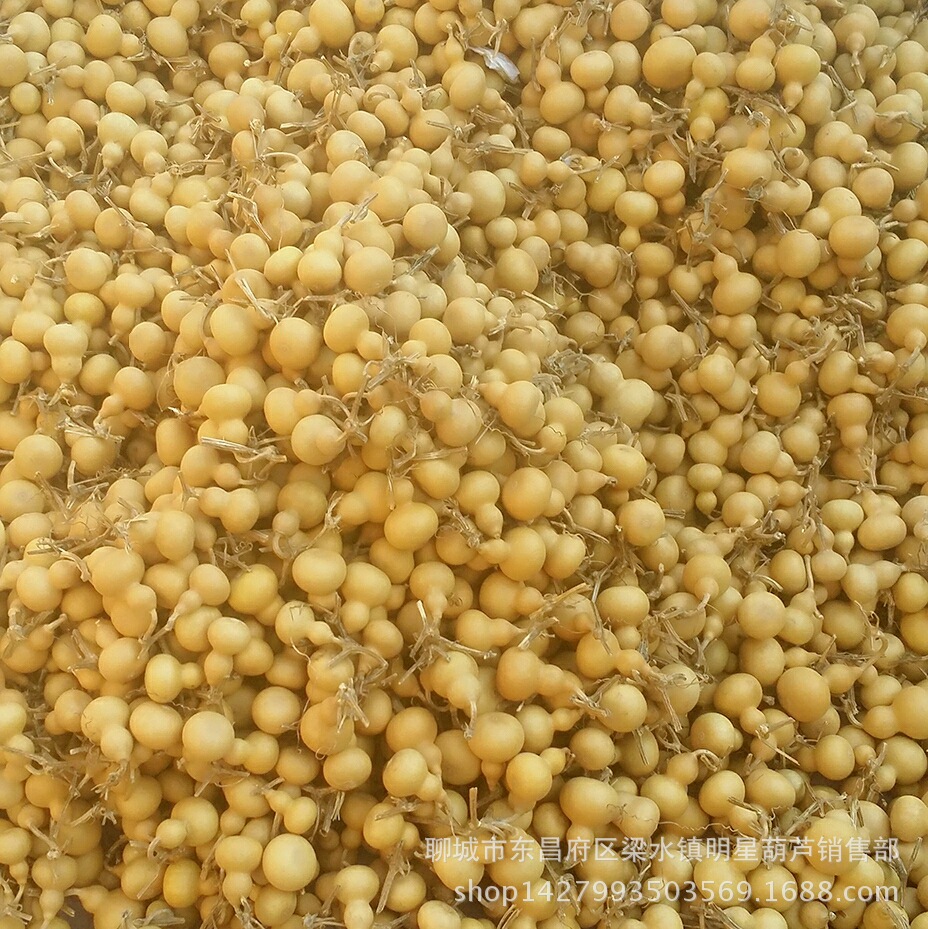 microMsg.1488872338277