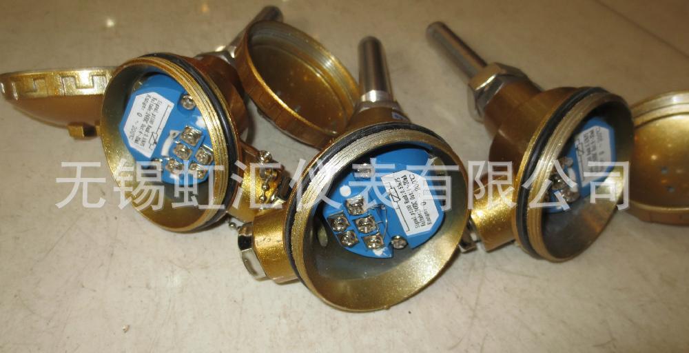 WZPB/WZCB-241M带温度变送器热电阻