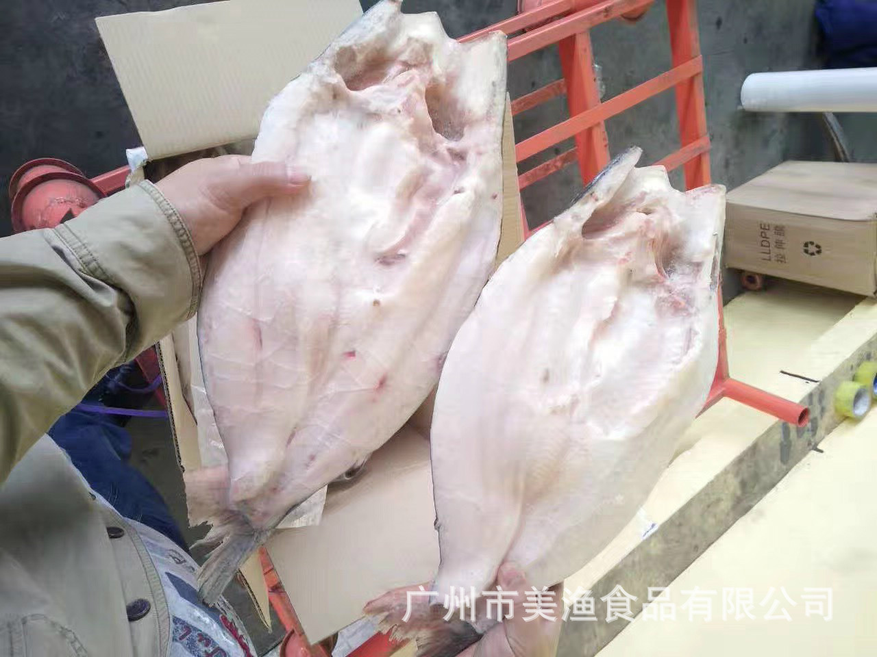速冻活冻开边开背巴沙鱼冷冻湄公鱼烤鱼用凌波鱼巴沙鱼烤鱼10kg件-阿里巴巴