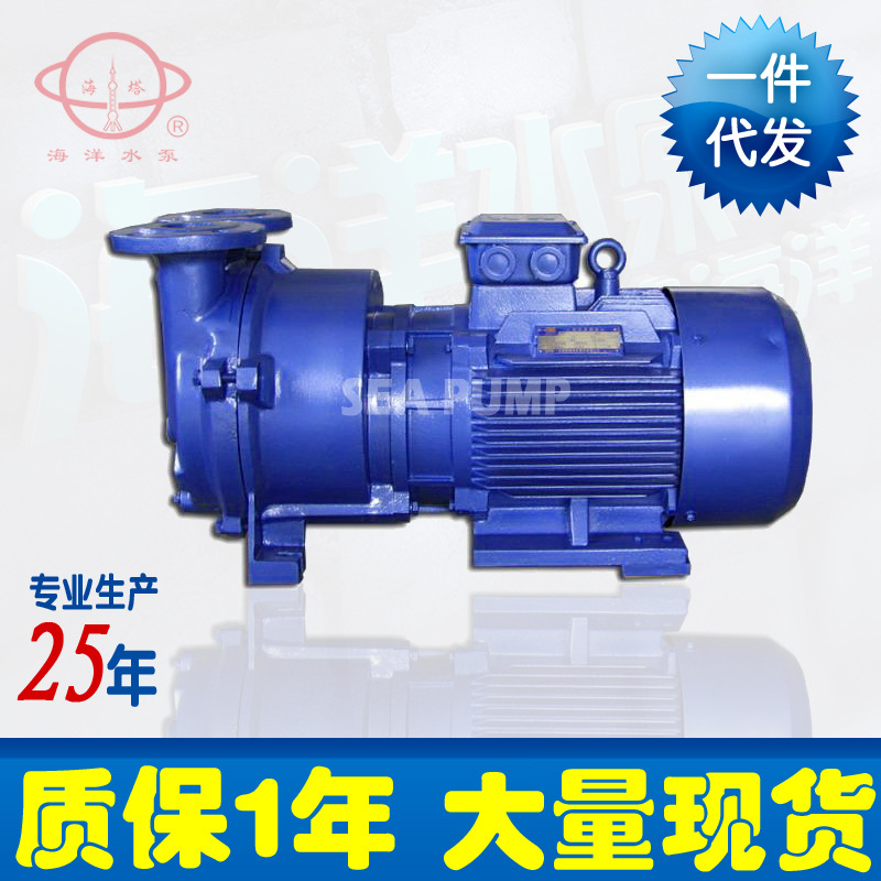 厂家供应2BV水环式真空泵 SKA水环式真空泵 电动直联式真空泵