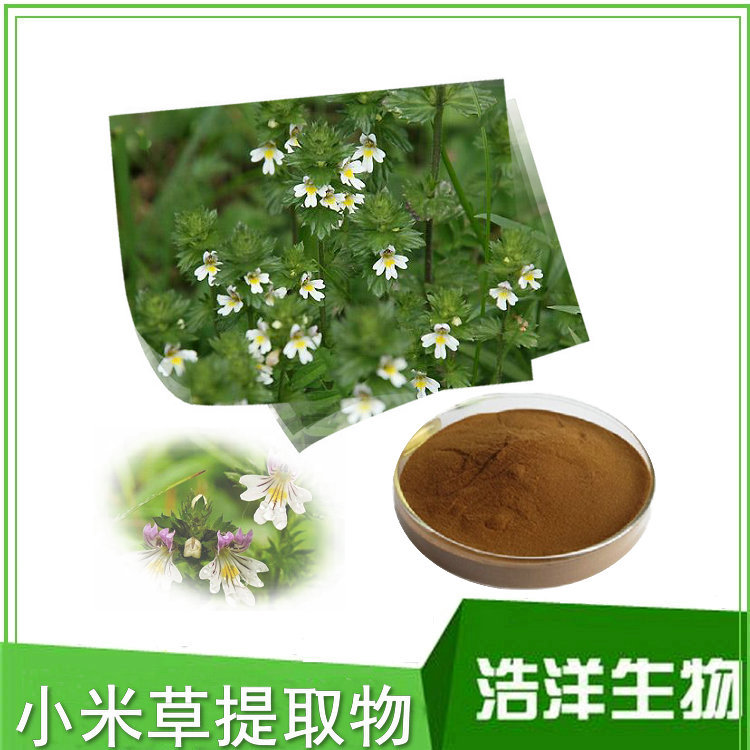 小米草提取物粉