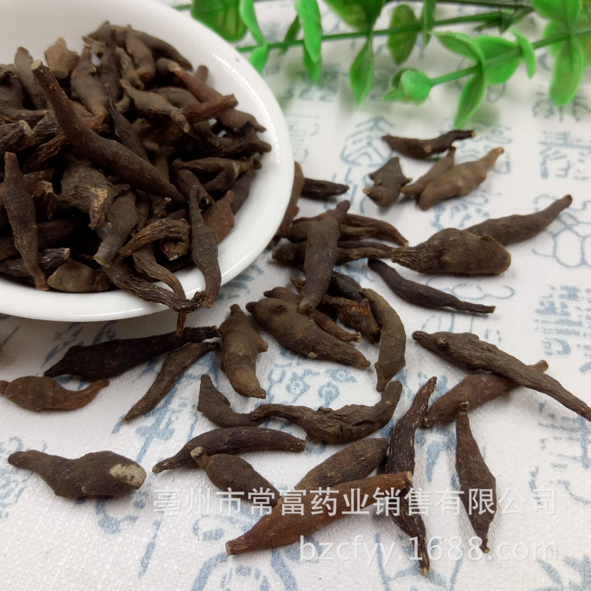 Liang Tou Jian Dried Herb 500g Traditional Chinese Botanical Zhu Jie Xiang Fu Raw Herb key features