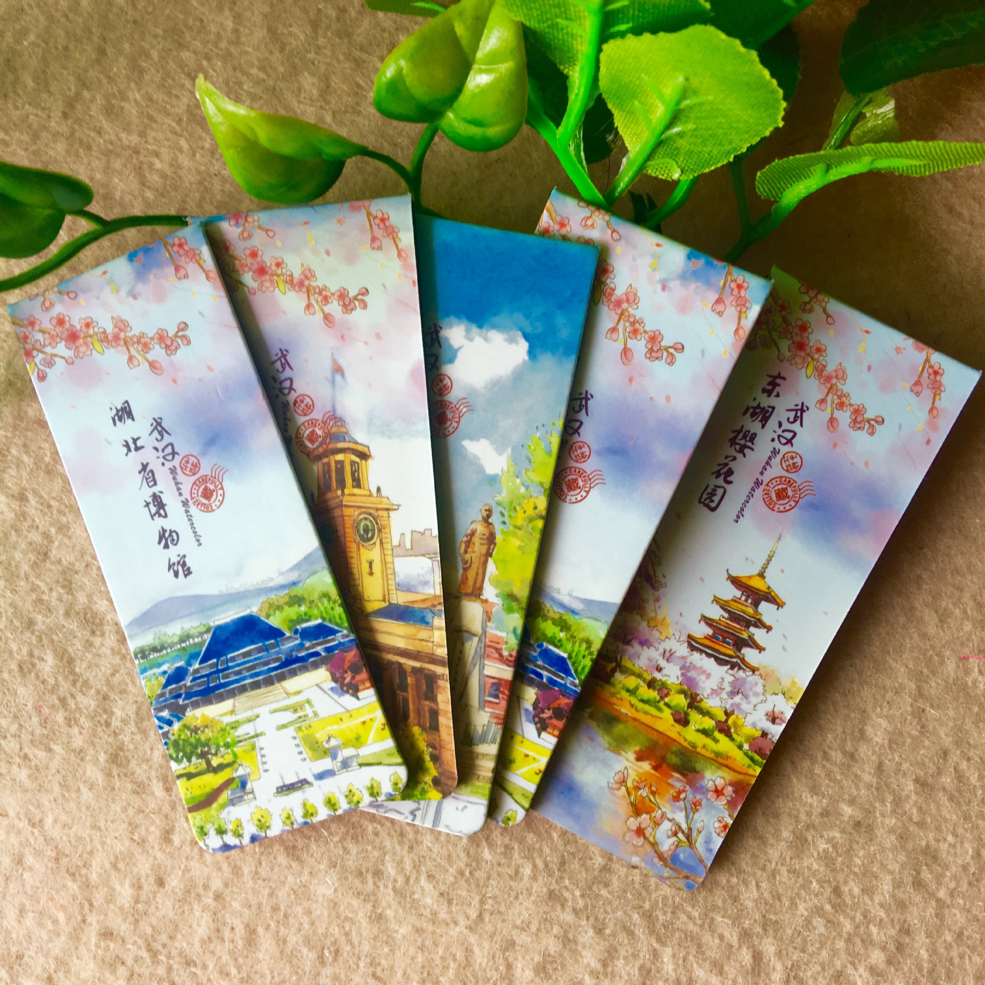 IMG_3975(20170804-091740)