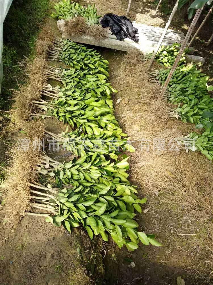 微信图片_20171211162255