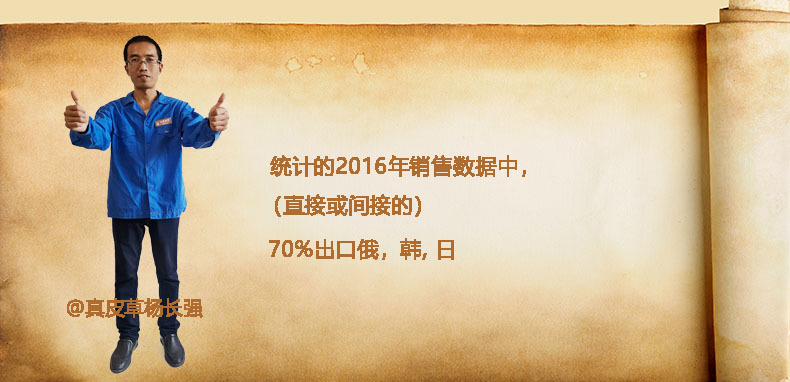 02-统计的2015年销售数据中,(直接或间接)54%出口俄