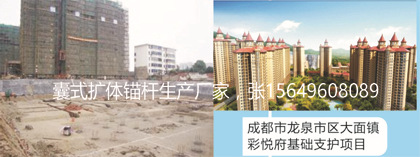 錨桿0016