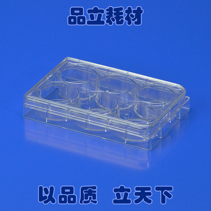 6孔悬浮式细菌培养板单独包装无菌植物培养板养细菌专用