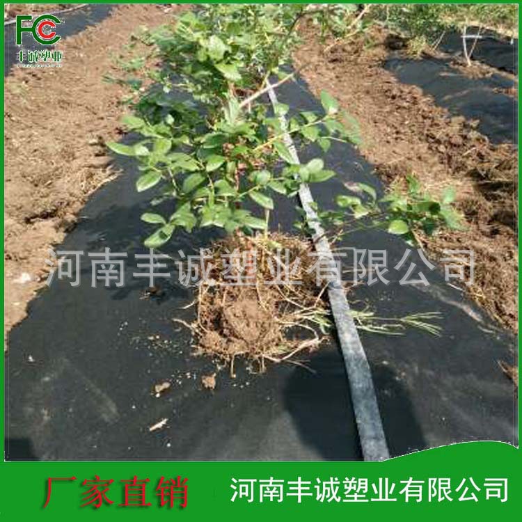 出售50-80克 抗老化透水果园果树防草无纺布可使用三年以上