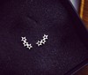 Fresh earrings, cute universal accessory, silver 925 sample, Korean style, 925 sample silver