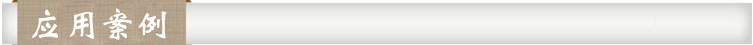 应用案例