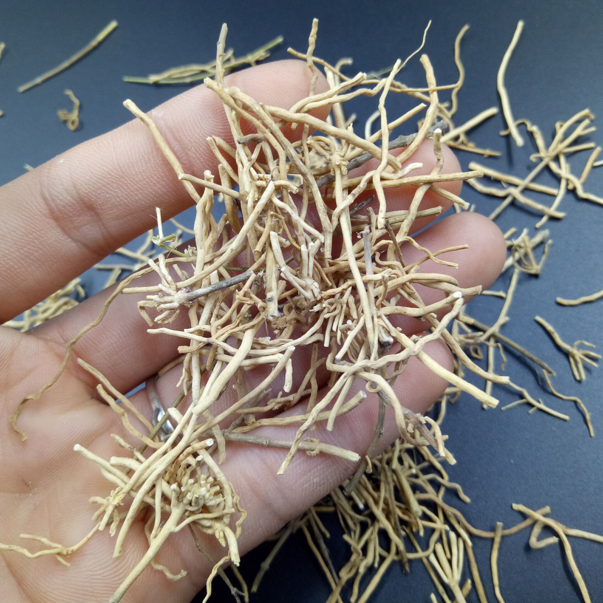 Xu Chang Qing Dried Root 500g Traditional Chinese Herb for Decoction and Culinary Use key features