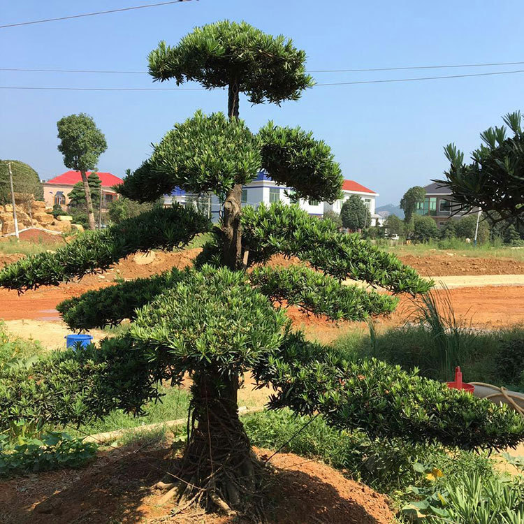 mmexport1472787330650