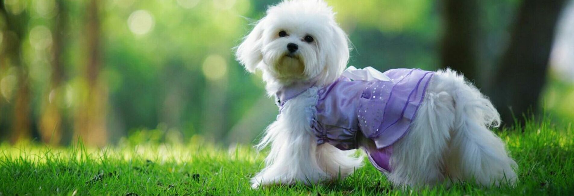 QQ图片20170326223736