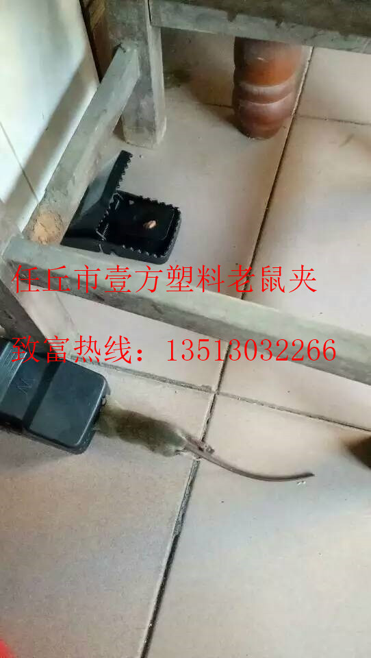 mmexport1475503996521