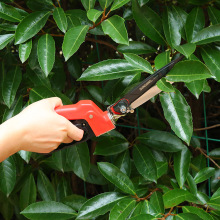 sunsong����360�����D�ݼ����P䓲ݼ�@�ּ���