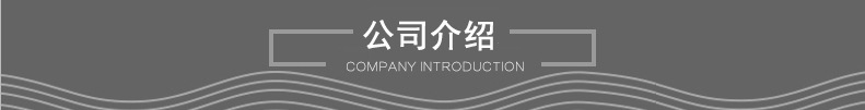 公司介绍