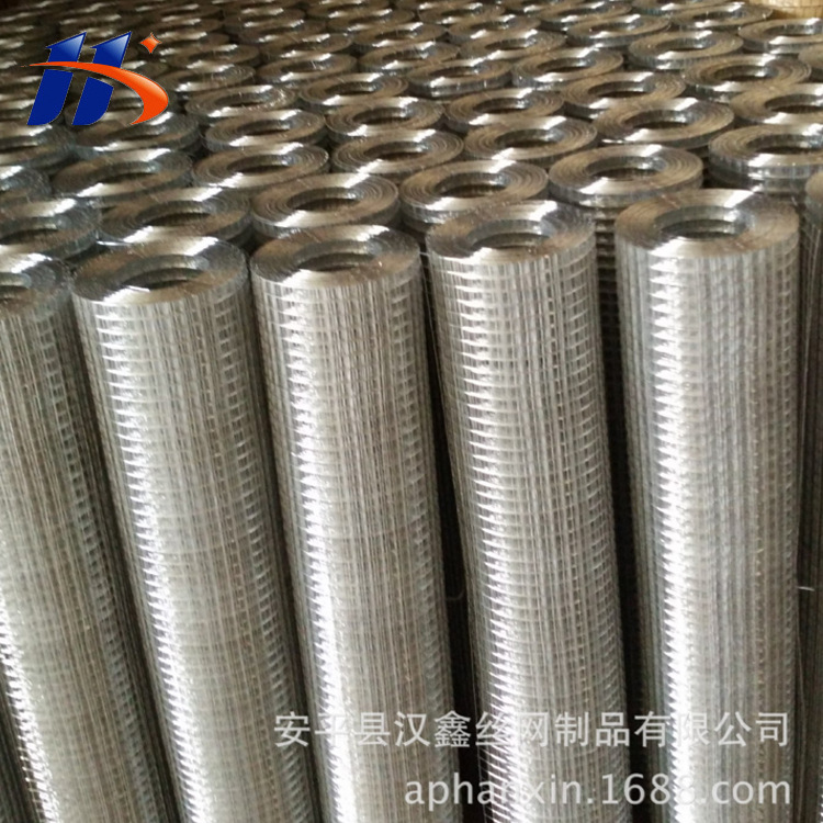 现货供应建筑电焊网 钢丝电焊网 粉墙电焊网 抹墙电焊网规格全