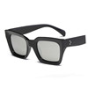Fashionable sunglasses, trend universal glasses solar-powered, city style, European style