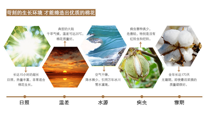 微信图片_20170814114119