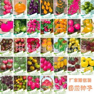 ���N���}���t�}�����һ�c�t���ѷN�ә��ҷ���С���t���N�Ѳʴ��b