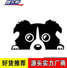 妙卡斯汽车反光贴纸 爬狗装饰车贴 爬窗偷看狮子狗车身贴花R461