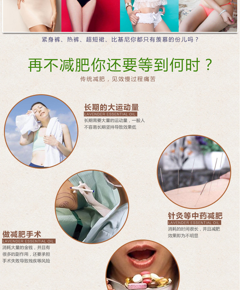 玫瑰探戈-纤体瘦身_03