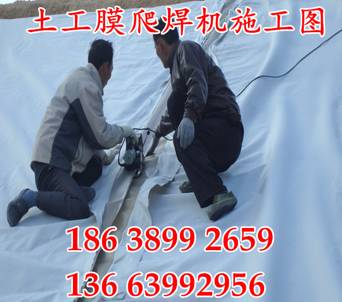 854017898_232862661_副本