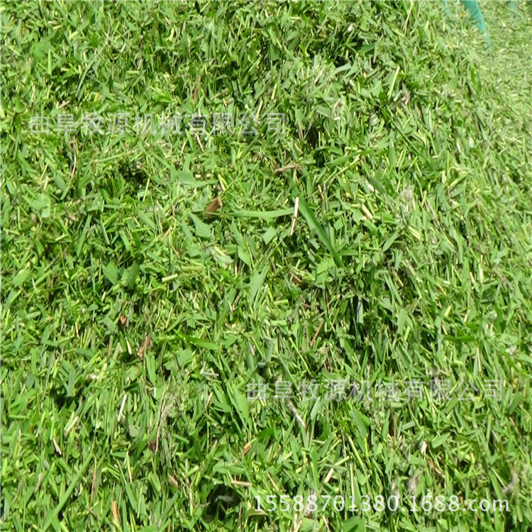 大型河南铡草机价格 铡草机类型 全自动大型铡草机厂家