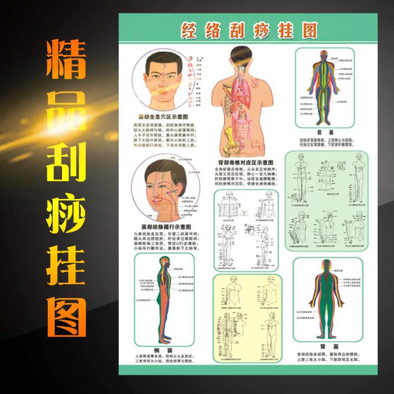 Производители Оптовых Человеческих Меридиан соскабливание диаграммы соскабливание изображения цвет положительный и отрицательный соскабливание пещеры растровый можно настроить